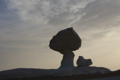 Lutz-Weisse_wueste-101019-0866
