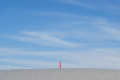 Lutz-1365