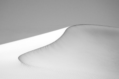 Lutz-1410
